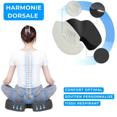 Harmonie Dorsale - Coussins en Mousse à Mémoire pour un Soutien Optimal