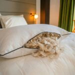 Pluma – L'Oreiller Hôtelier 5 Étoiles en Plumes Naturelles – Image 2